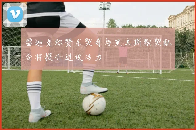 雷迪克称赞东契奇与里夫斯默契配合将提升进攻活力
