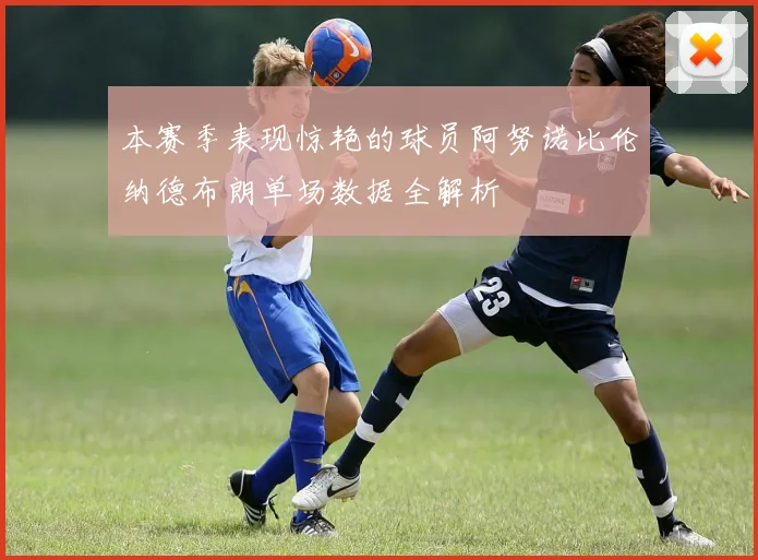 本赛季表现惊艳的球员阿努诺比伦纳德布朗单场数据全解析