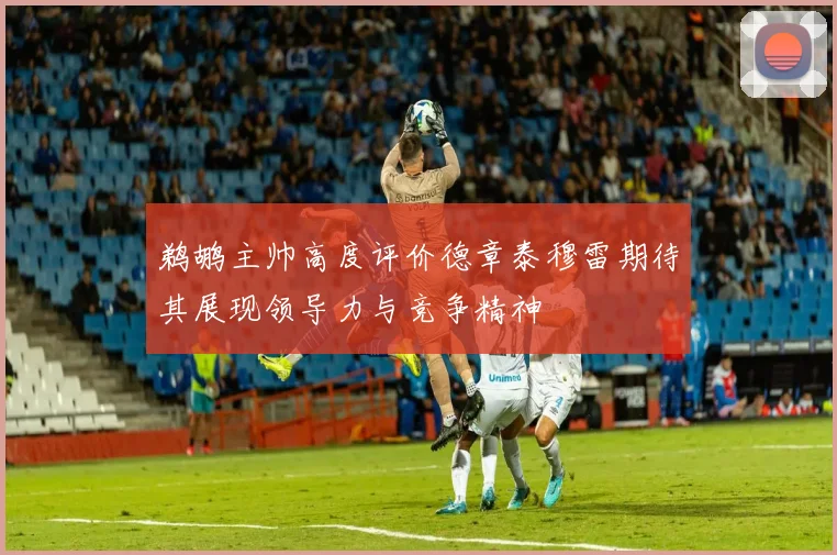 鹈鹕主帅高度评价德章泰穆雷期待其展现领导力与竞争精神